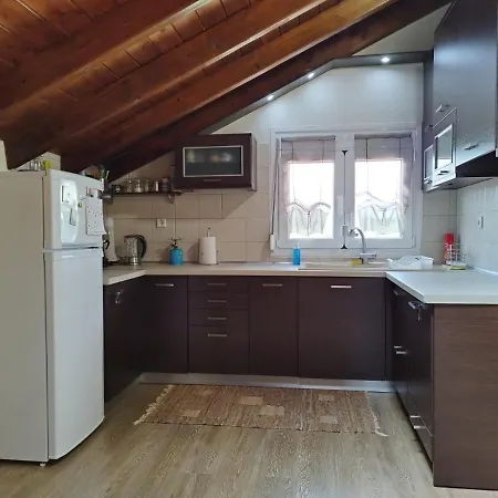 Apartment Loft Aridea